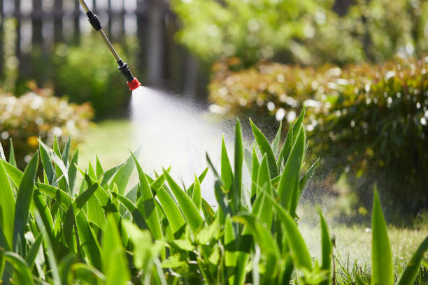 24/7 Emergency Mosquito Control experts in Culver, OR